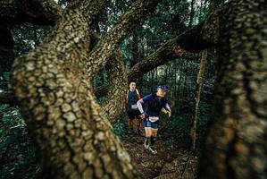 BIB: 
                            <button type="button" onclick="openModal(25698352)" class="btn btn-primary btn-sm float-right btn-popup" data-toggle="modal" data-target=".modal-high-quality">
                        <i class="fas fa-shopping-cart"></i> Add to Cart
                    </button>
                                            <button type="button" onclick="isThisMe(25698352, true)" class="btn btn-success btn-sm float-right btn-popup btn-isme hidden" data-toggle="tooltip" data-placement="bottom" title="นี่คือรูปของคุณใช่ไหม คลิกที่นี่เพื่อเอาเข้าอัลบั้ม">
                        <i class="fas fa-plus"></i> Add to album
                    </button>
                    <button type="button" onclick="isThisMe(25698352, false)" class="btn btn-warning btn-sm float-right btn-popup btn-isnotme hidden">
                        <i class="fas fa-ban"></i> Remove from album
                    </button>